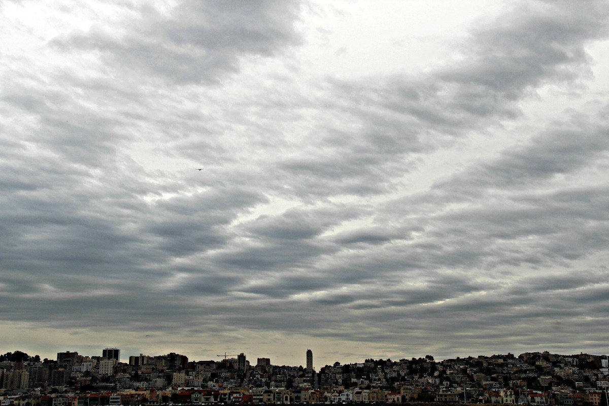 San Francisco at Bay